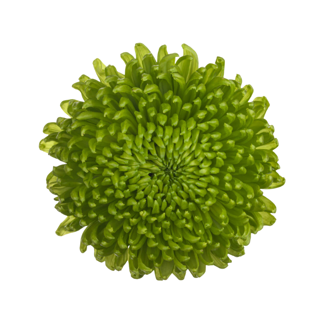 Ball
