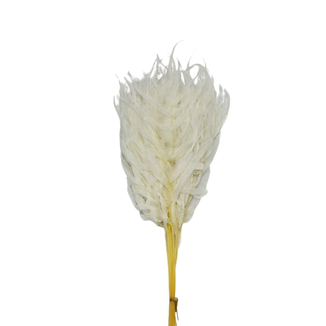 Preserved Wind Leaves