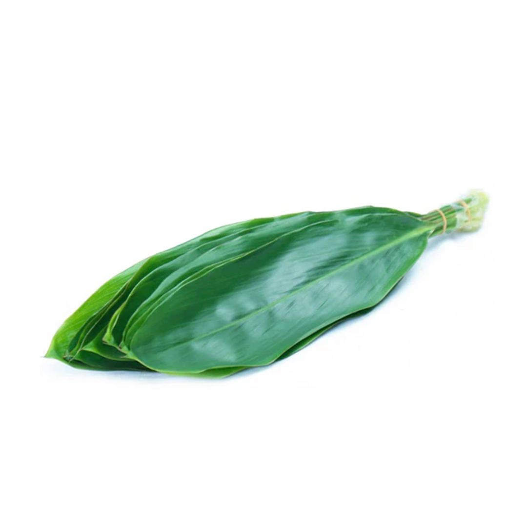 Ti Leaf