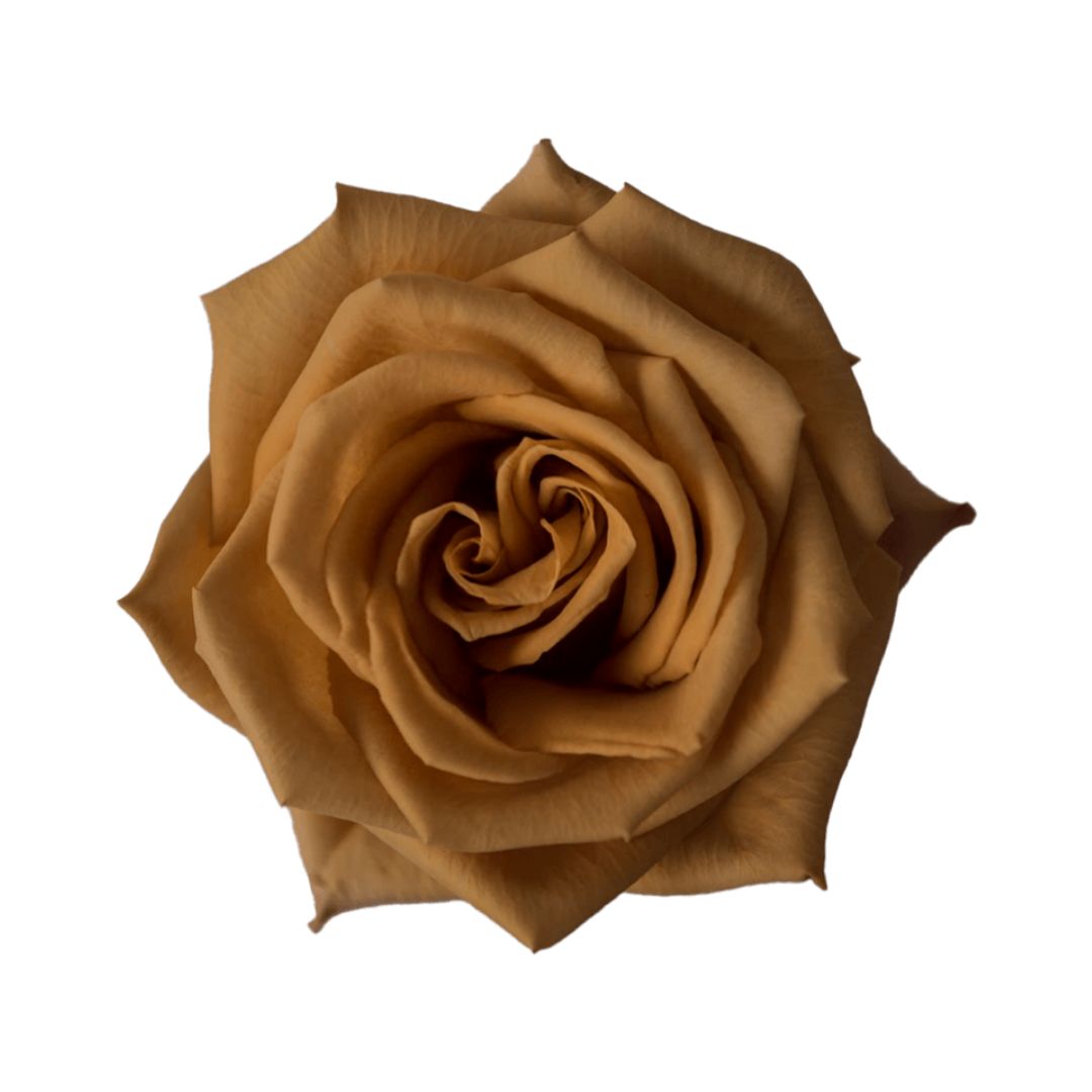 Garden Rose Toffee