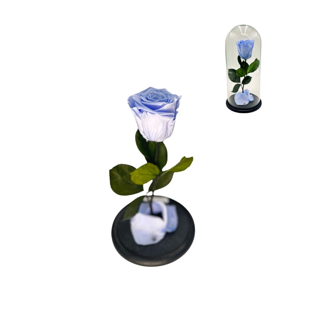Preserved Rose Glass Dome - Stem & Flower