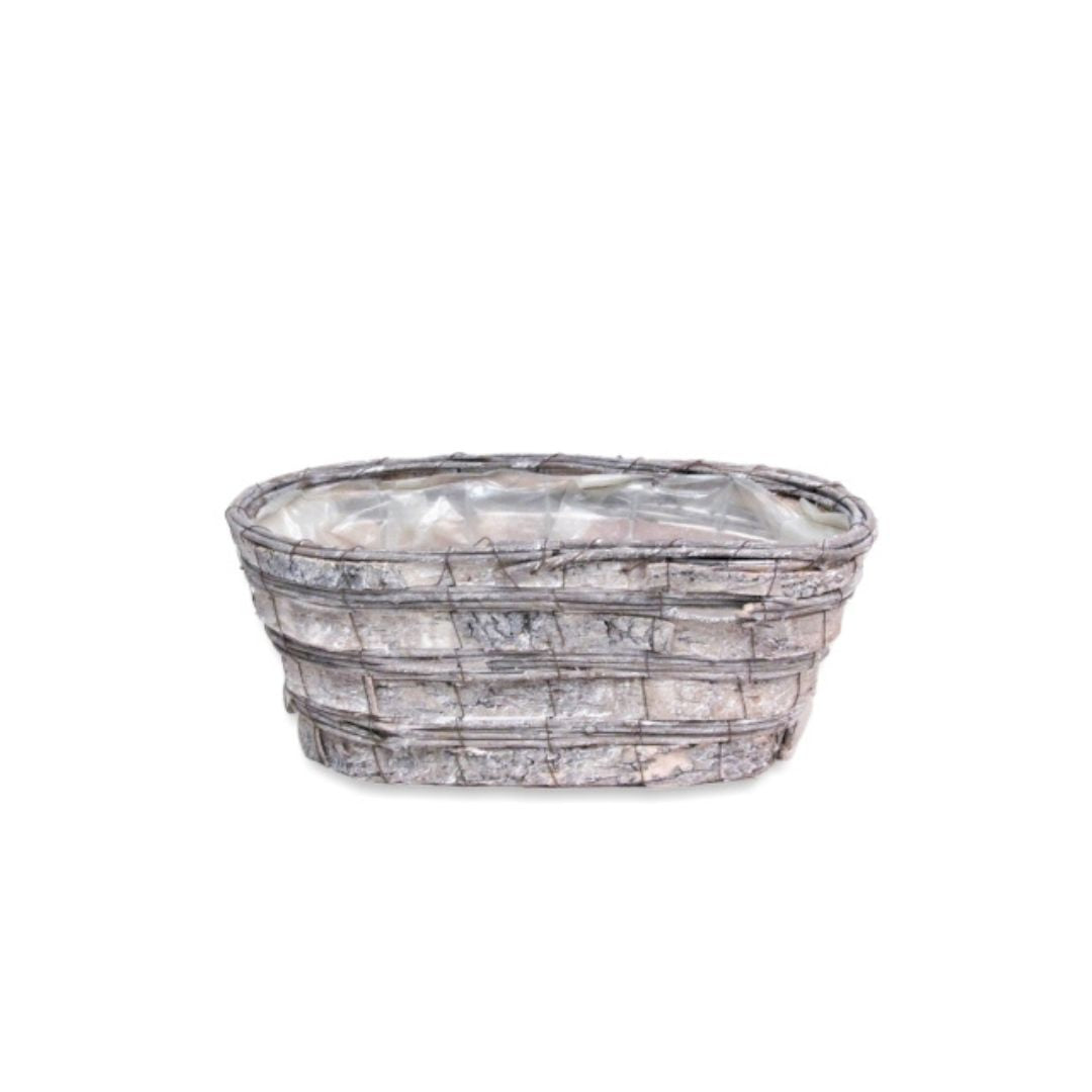Washed 6" birch tree oval peanut planter with woven wire