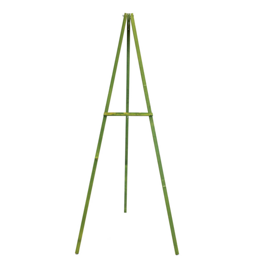 Wooden Easel 72"