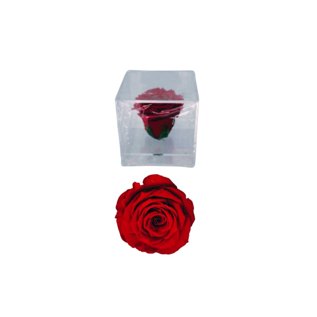Preserved Rose In A Box