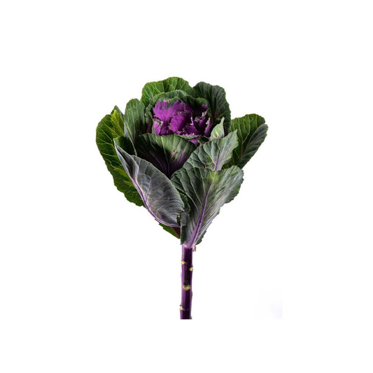 Kale