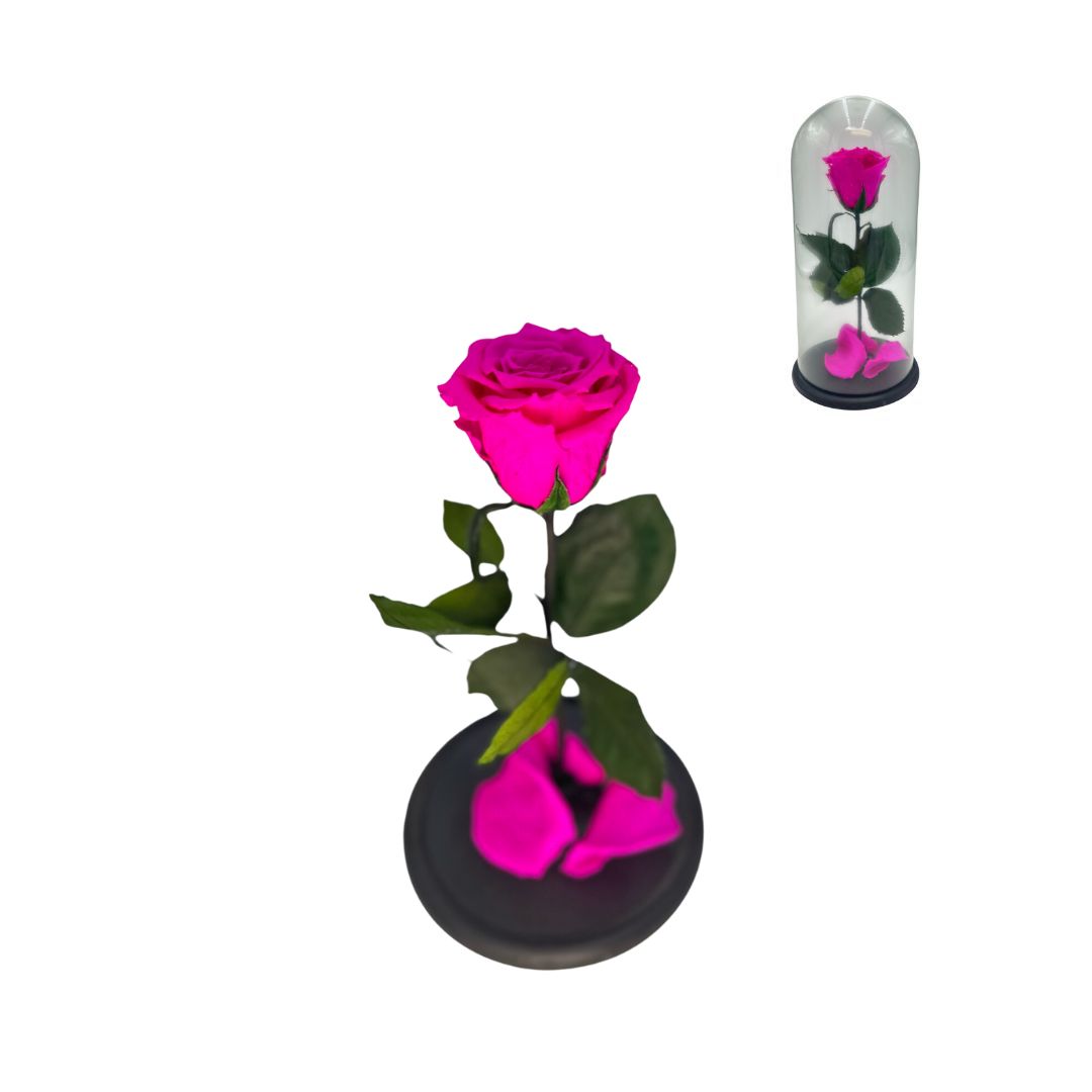 Preserved Rose Glass Dome - Stem & Flower